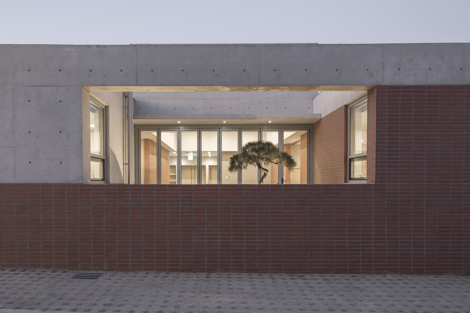 Exterior view of terracotta brick wall with recessed window opening framing a pine tree at dusk