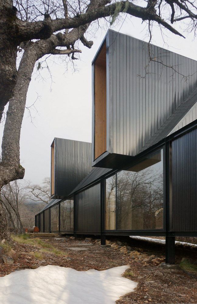 Cantilevered upper volume clad in vertical metal with timber-lined reveal and bare tree branches overhead