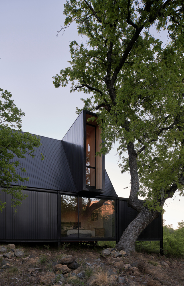 Vertical window slot with timber lining in dark metal facade beneath an oak tree at dusk