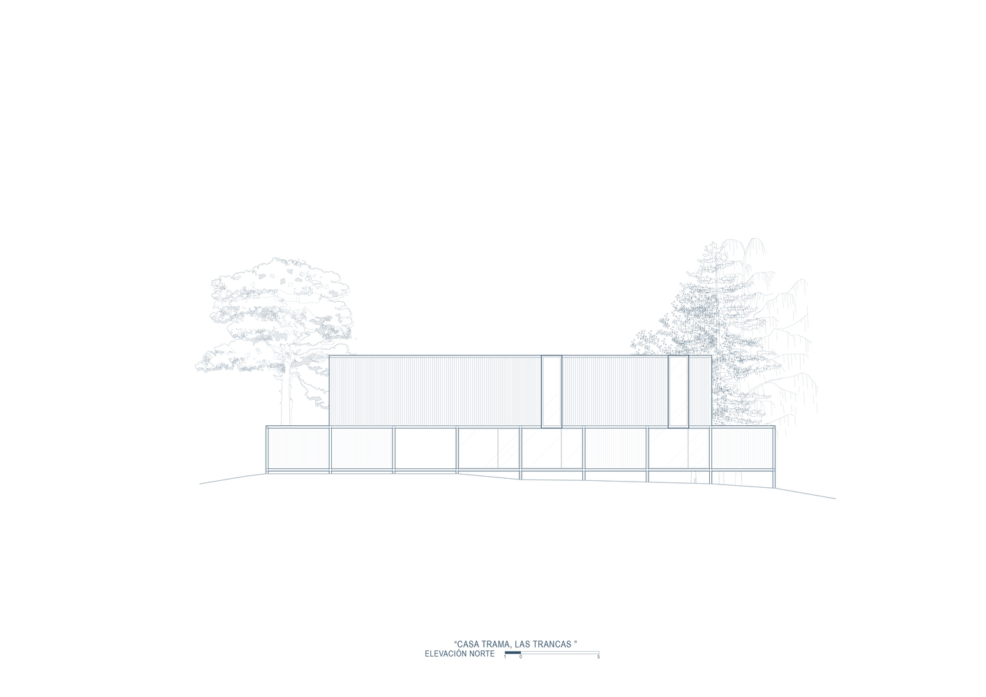 North elevation drawing showing horizontal volumes with glazing and two trees in the landscape