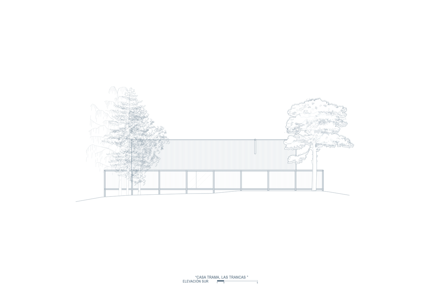Elevation drawing of a low glazed volume flanked by two trees on a sloped site
