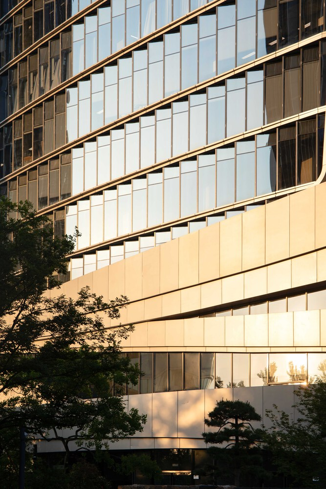 Glass and panel facade with horizontal bronze mullions framed by mature trees at golden hour