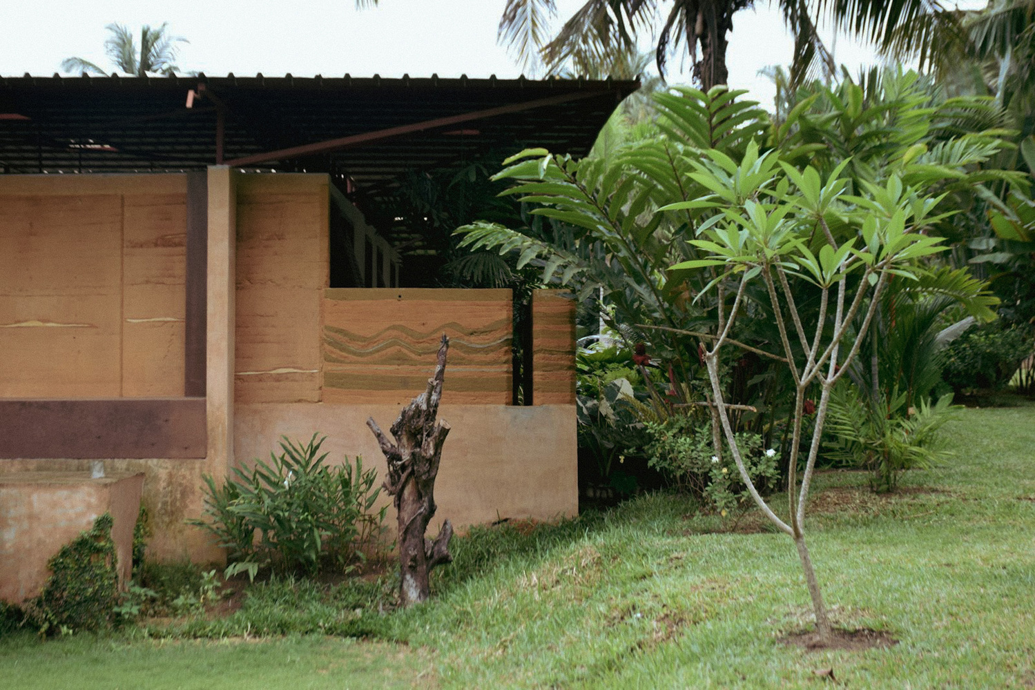 Rammed earth facade detail with timber panels and young plumeria tree in foreground