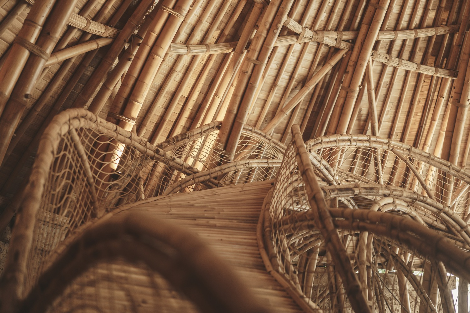 Close-up of woven bamboo formwork and rafters beneath a curved roof structure