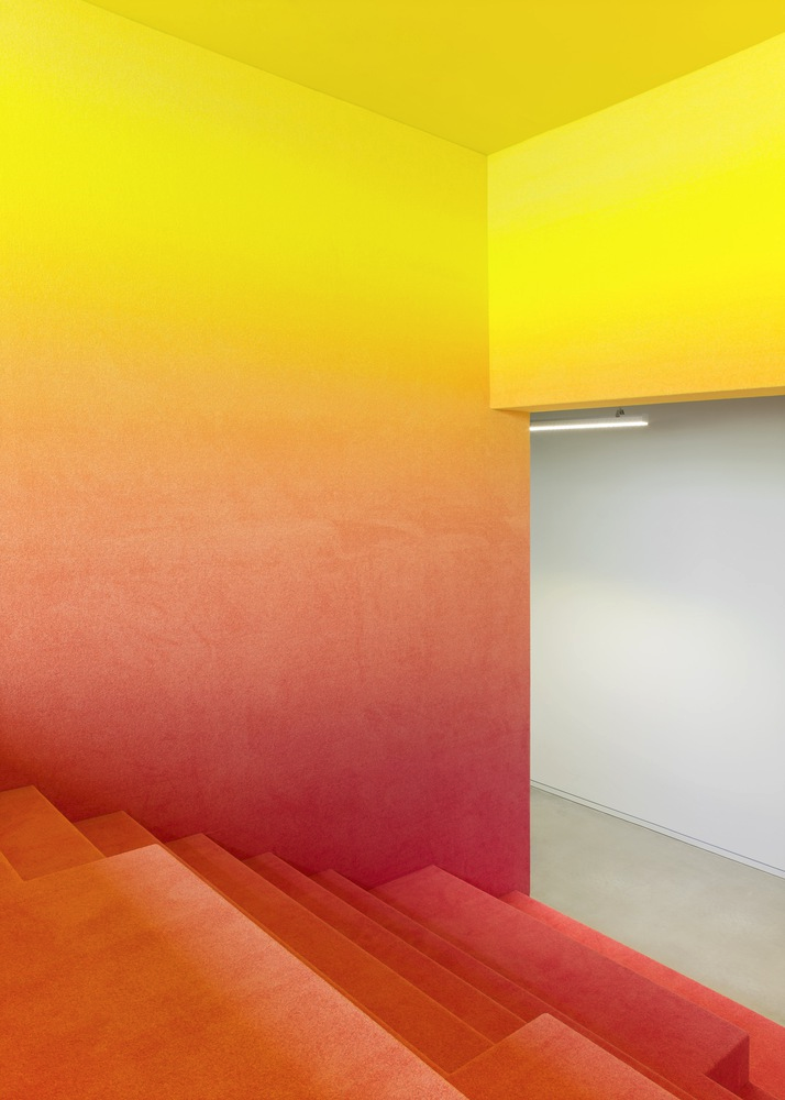 All photographs are works of Brigida González