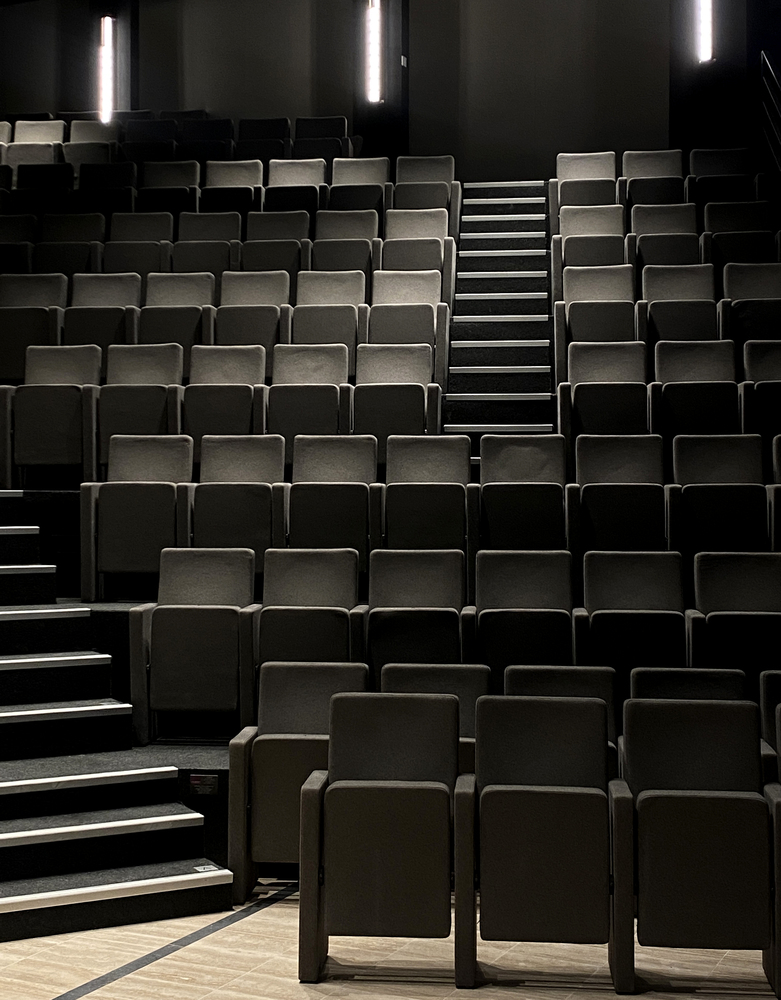 Stepped auditorium seating illuminated by vertical light strips against black walls and ceiling