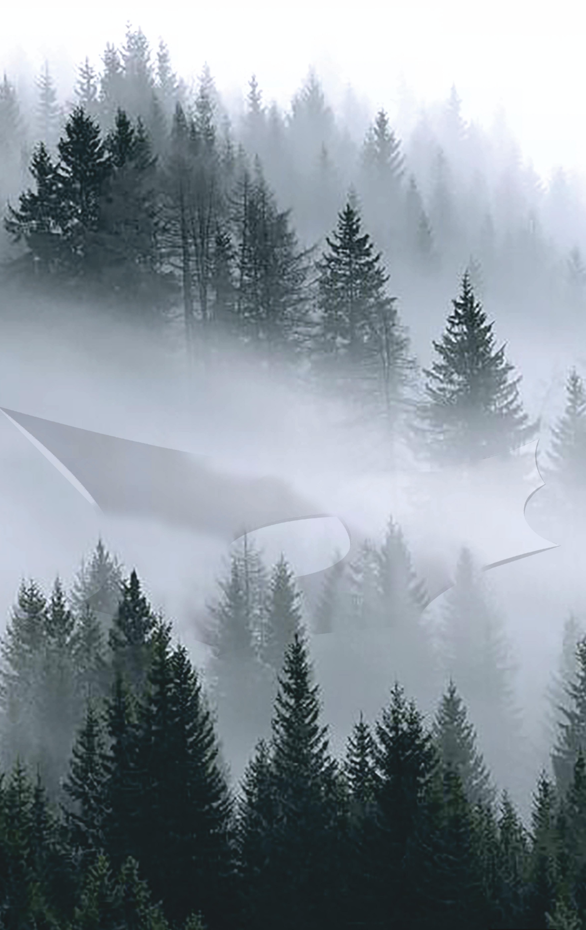 A visionary design emerges seamlessly from the foggy forest, blurring the lines between built space and nature.
