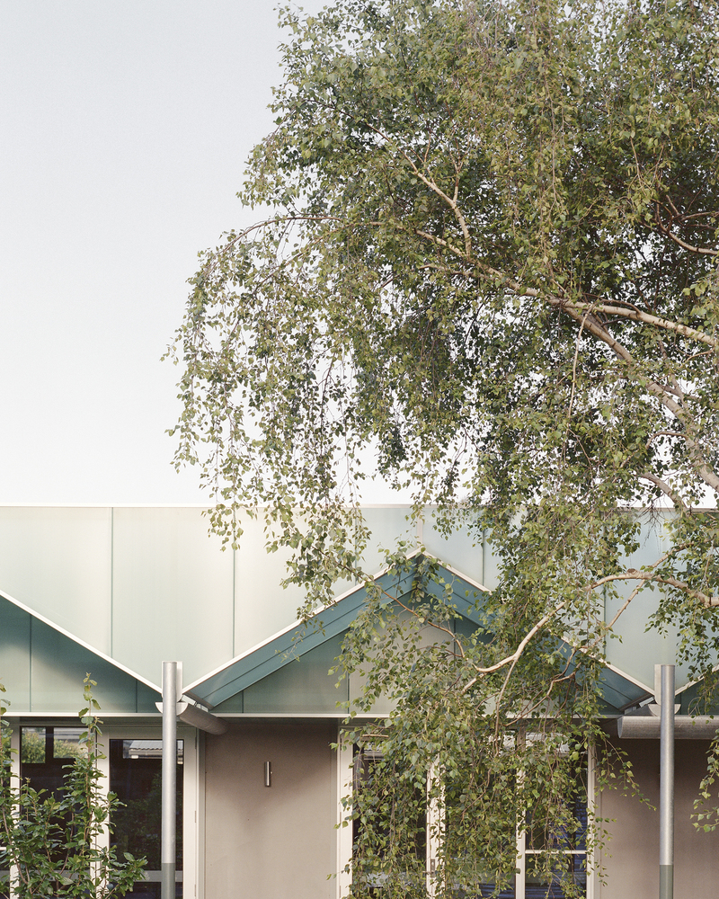 Glazed roof peaks framed by birch trees in soft daylight