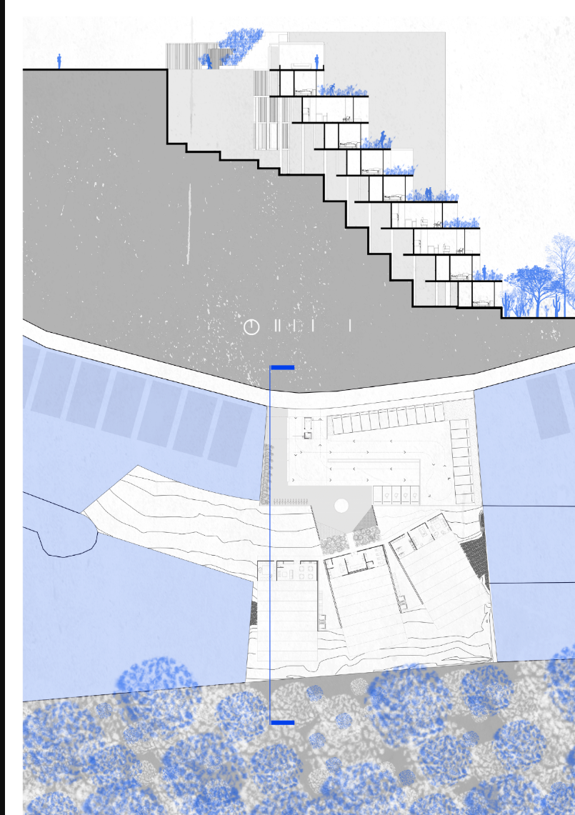  A cross-sectional diagram demonstrating the project’s spatial hierarchy, green terraces, and seamless integration with the terrain.