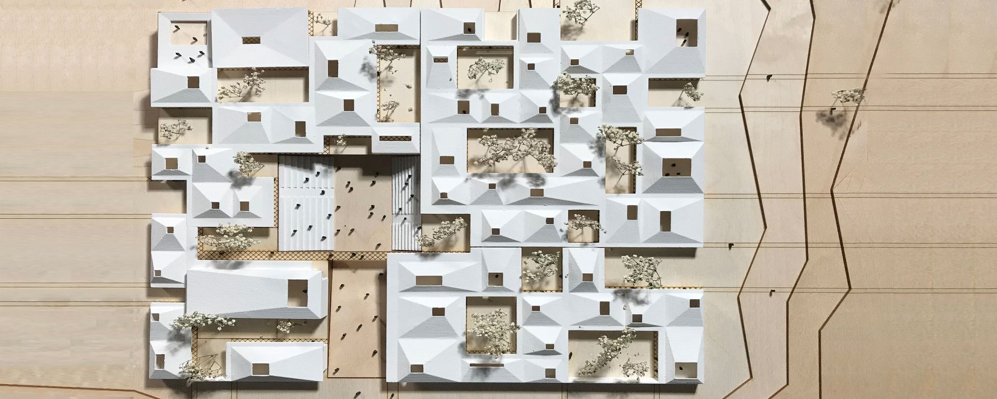 Sustainable Architecture