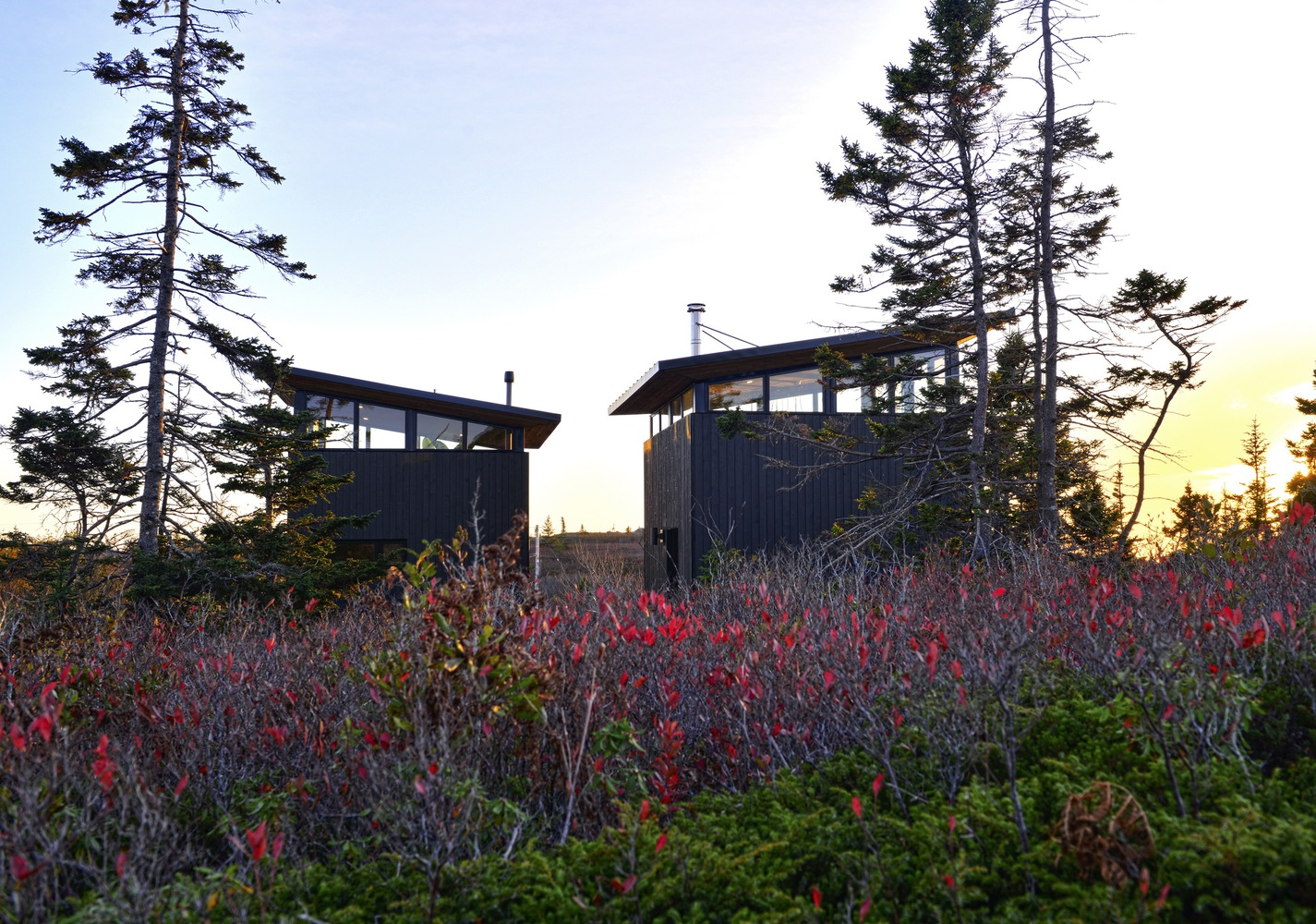 Two dark-clad volumes with clerestory windows rising above autumnal shrubs and pine trees at sunset