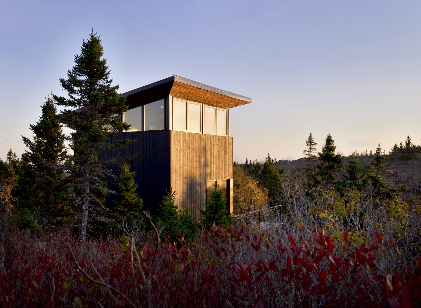 Tower volume with vertical wood cladding and dark metal siding nestled among conifers at dusk