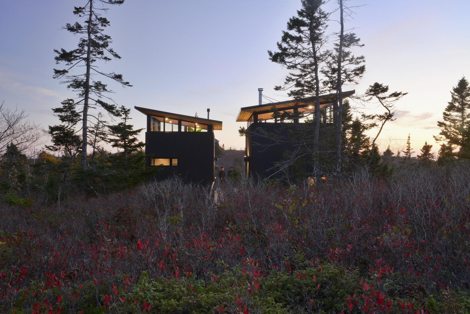 Pair of elevated cabins with shed roofs and exposed structure silhouetted against an evening sky
