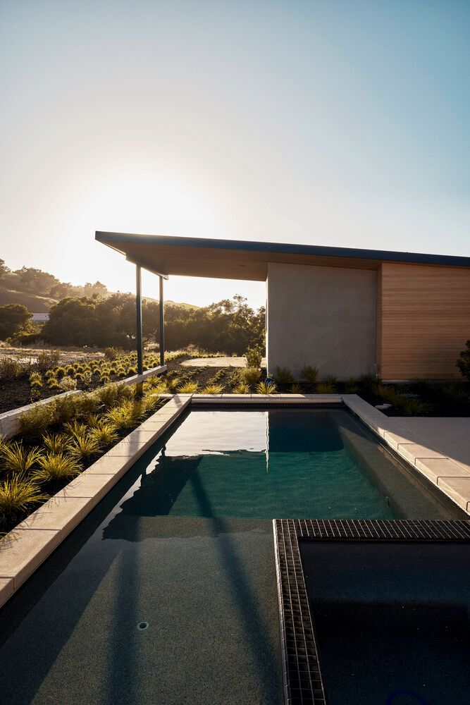 Swimming pool with cantilever roof casting shadows at golden hour beside native plantings