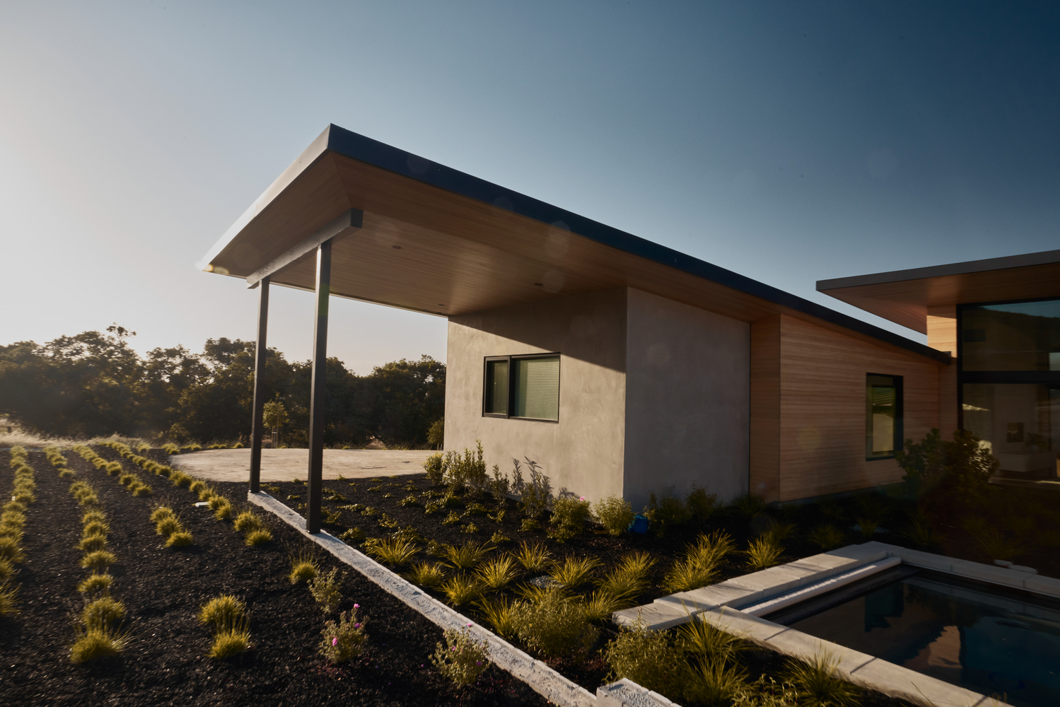 Exterior view of cantilevered roof over stucco and timber volumes with planted beds at dusk