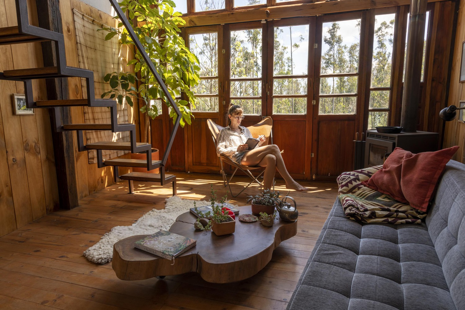Interior living space with timber floors and walls as a person reads near the glazed doors in afternoon sunlight