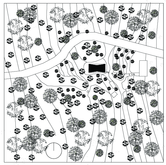 Site plan drawing showing the cabin nestled within contoured terrain and scattered tree canopies