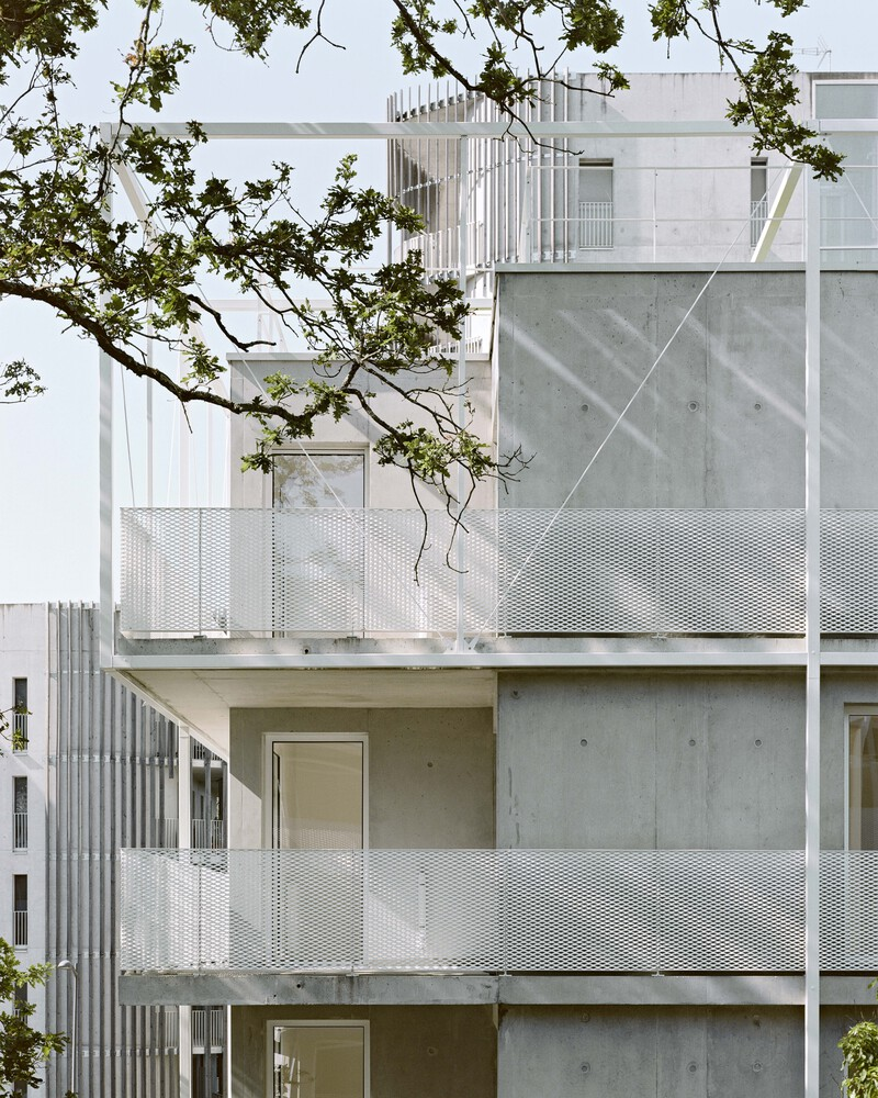 Concrete and perforated metal facade with recessed balconies framed by overhanging tree branches