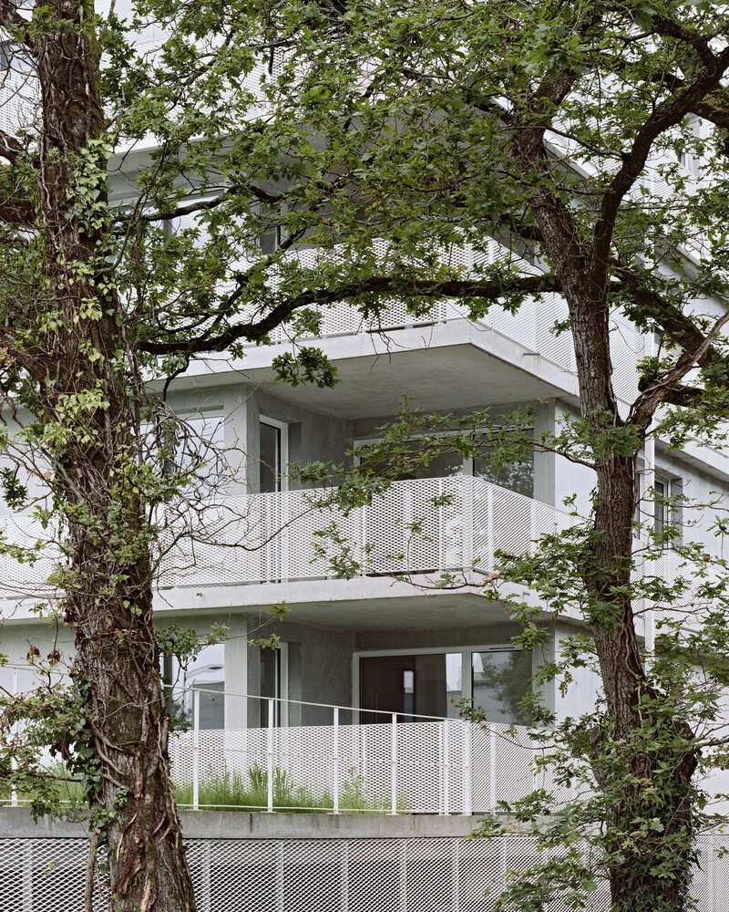 Building facade with concrete slab balconies and perforated metal screens visible through leafy tree branches