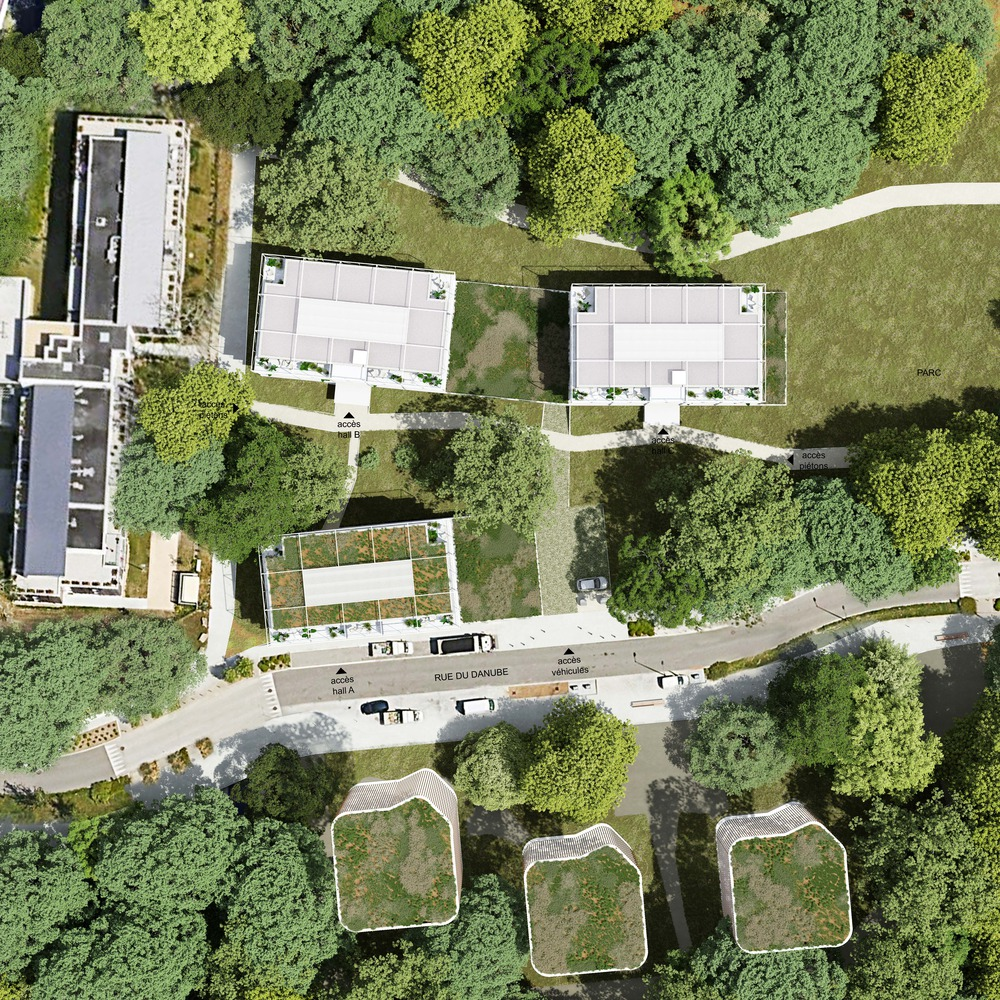 Aerial site plan drawing showing three undulating roof forms nestled among dense forest along a street