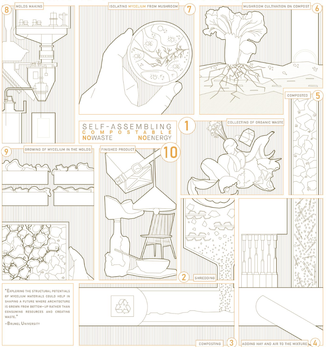 Diagram showing the mushroom cultivation process from mycelium growing through composting and shredding stages
