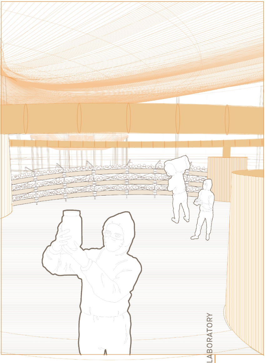 Interior perspective rendering with figures viewing tiered cultivation beds under a flowing organic ceiling canopy