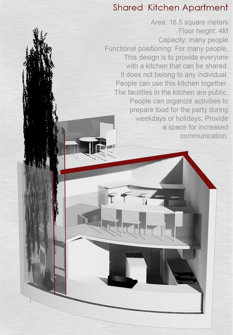 Shared Kitchen Apartment – A modern culinary space that enhances shared living experiences.