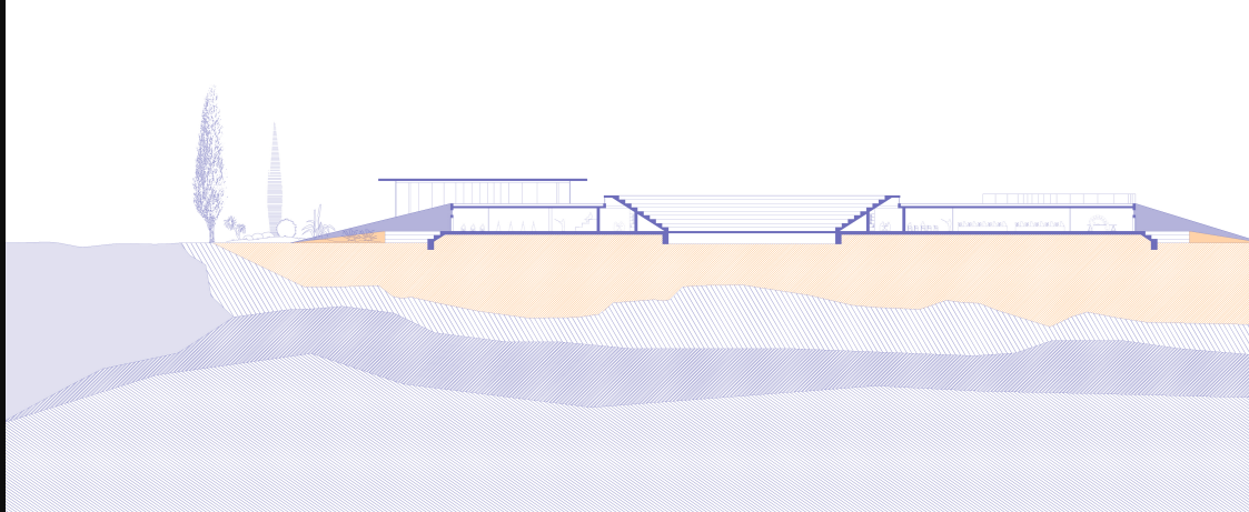 Expansive Architectural Layout – A cross-section revealing the depth and spatial arrangement of educational spaces.