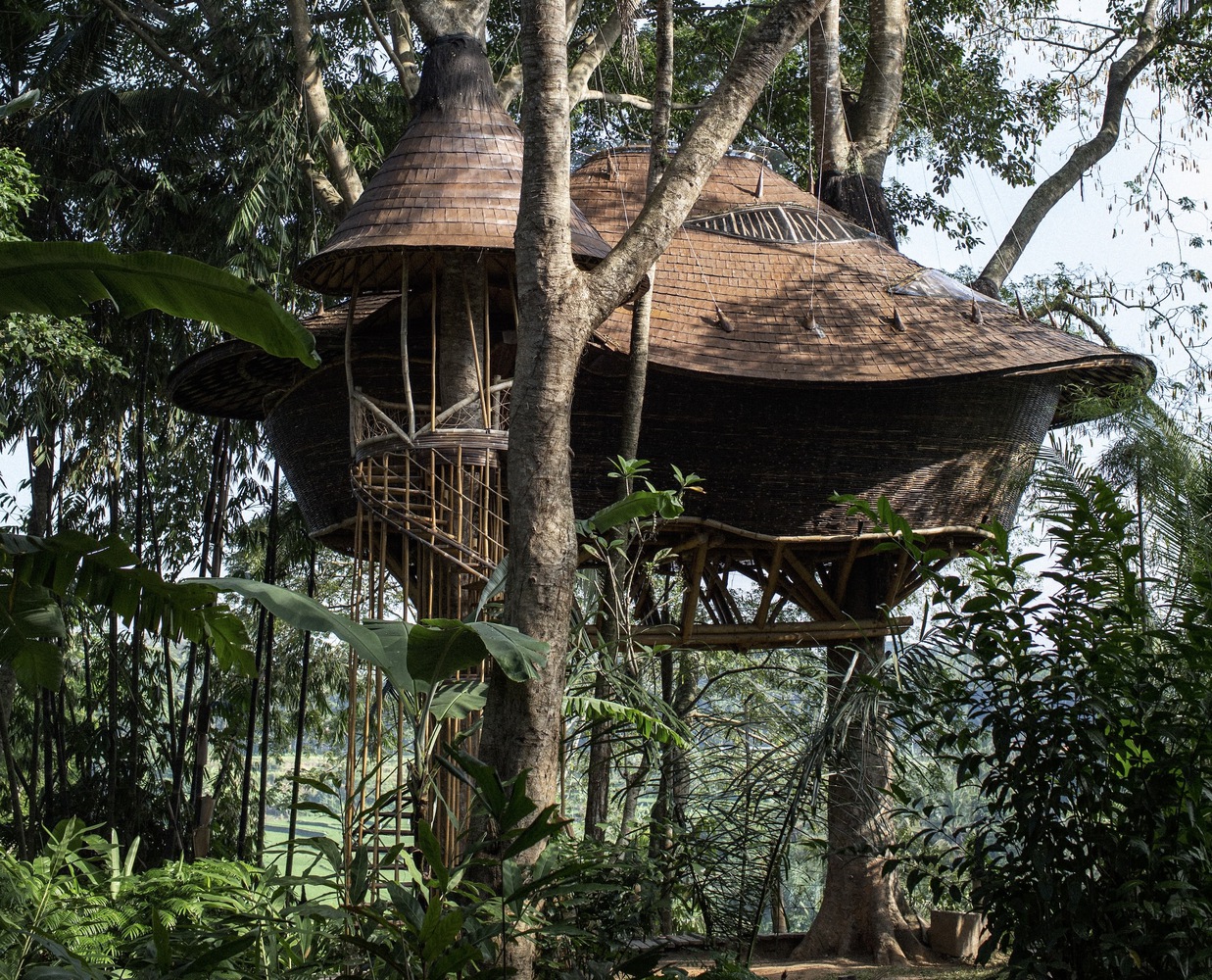 Treehouse at Bambu Indah by IBUKU: bamboo architecture that reaches into the forest canopy in Bali