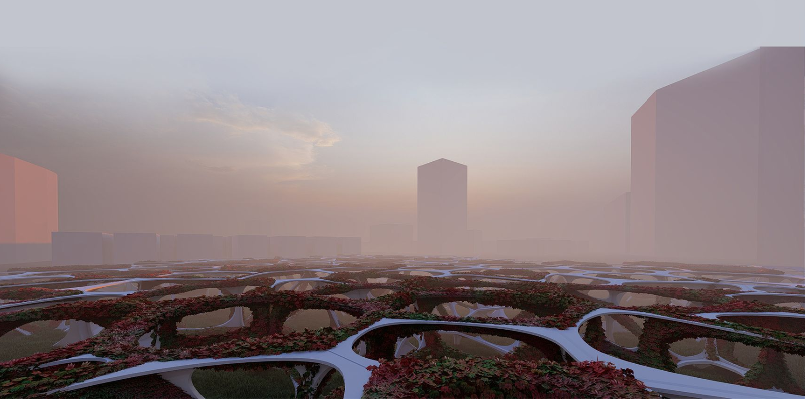 Aerial view of undulating planted roof canopies in heavy morning fog