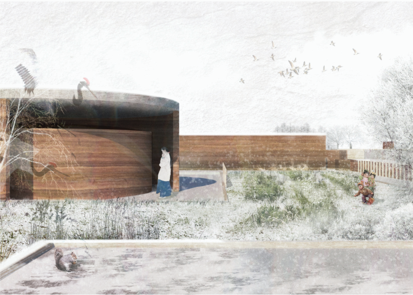Architectural Section – A cross-sectional view of the remembrance pavilion, integrating spaces for reflection, ritual, and connection to nature