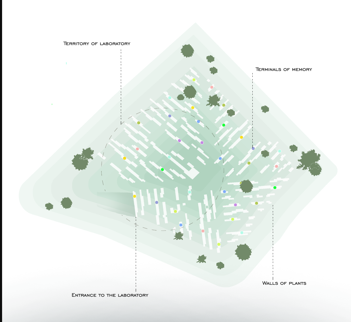 Memory Forest Plan – A top-down view of the evolving cemetery with designated spaces for memory terminals and plant walls.