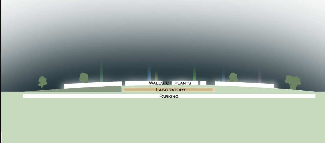 Architectural Section – A cross-sectional illustration of the cemetery, highlighting laboratory and plant integration