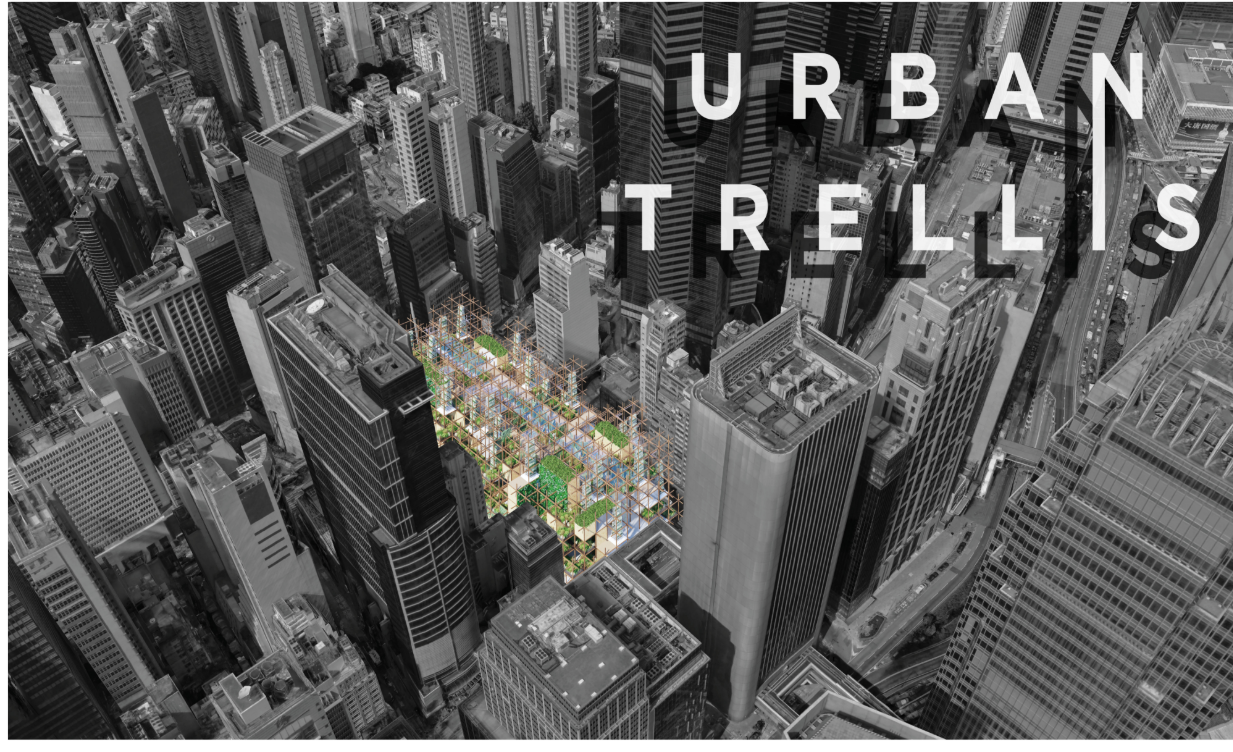 Urban Trellis by Agata Mila — vertical farming and seed preservation in Hong Kong