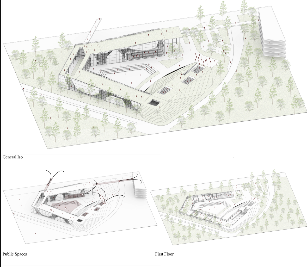 Topographical form shaping layered public zones and articulating spatial hierarchy.