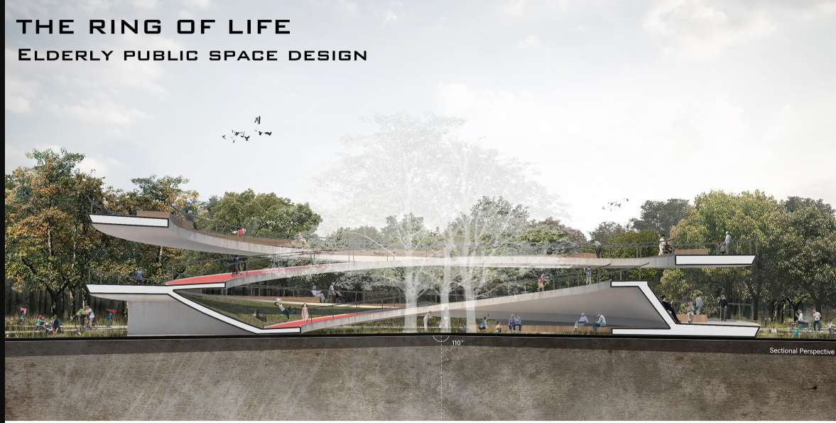 Gentle ramps and layered circulation ensure accessibility while enhancing interaction.