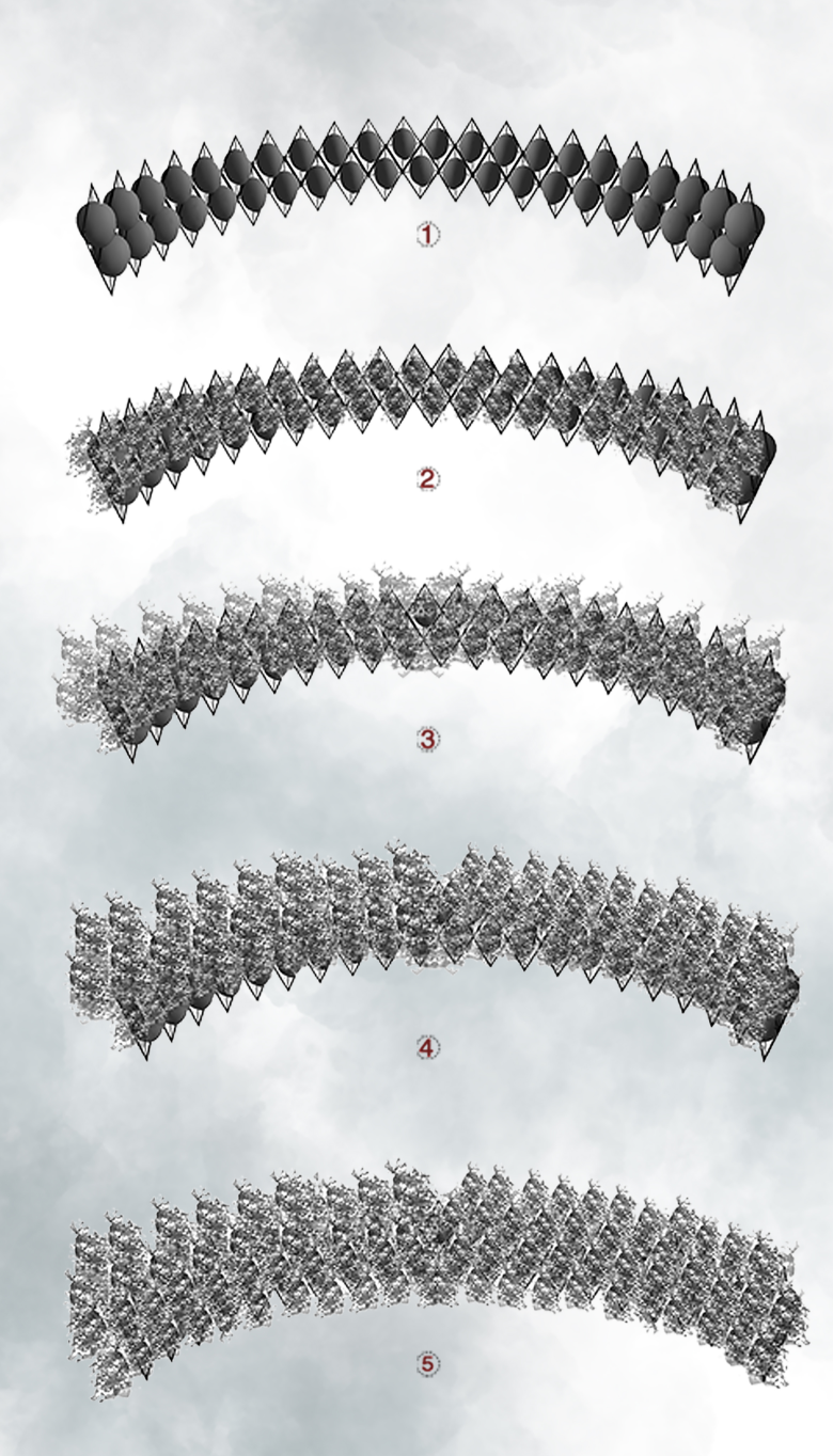 Sequential diagram illustrating the transformation of the architectural modules as plant life gradually envelops the structure.