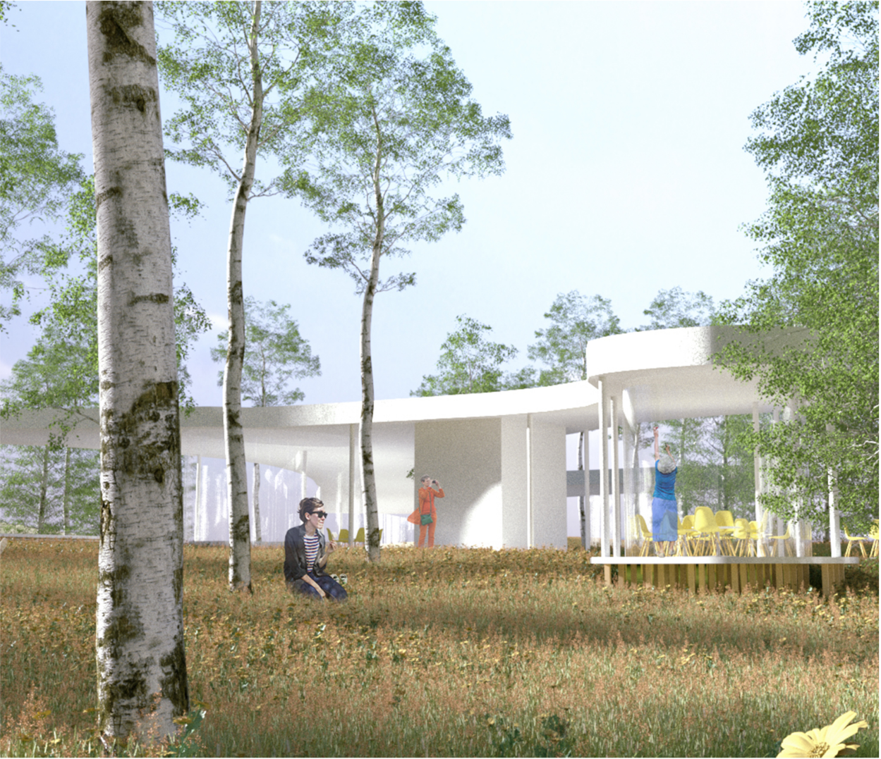 View of the light-filled café pavilion nestled among birch trees.