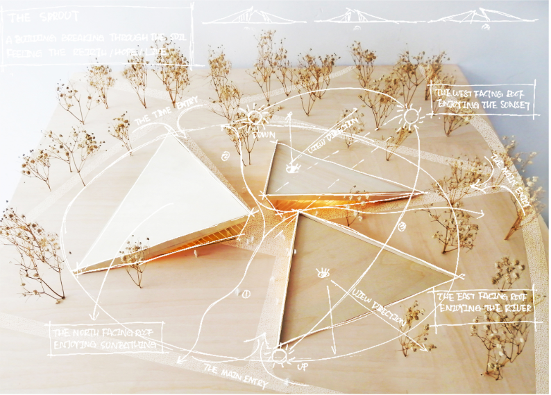 Physical model with folded planes and dried plant material indicating landscape orientation and solar exposure