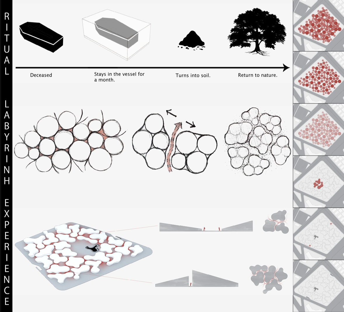 Diagram showing ritual and experiential stages from deceased vessel to soil transformation and tree growth
