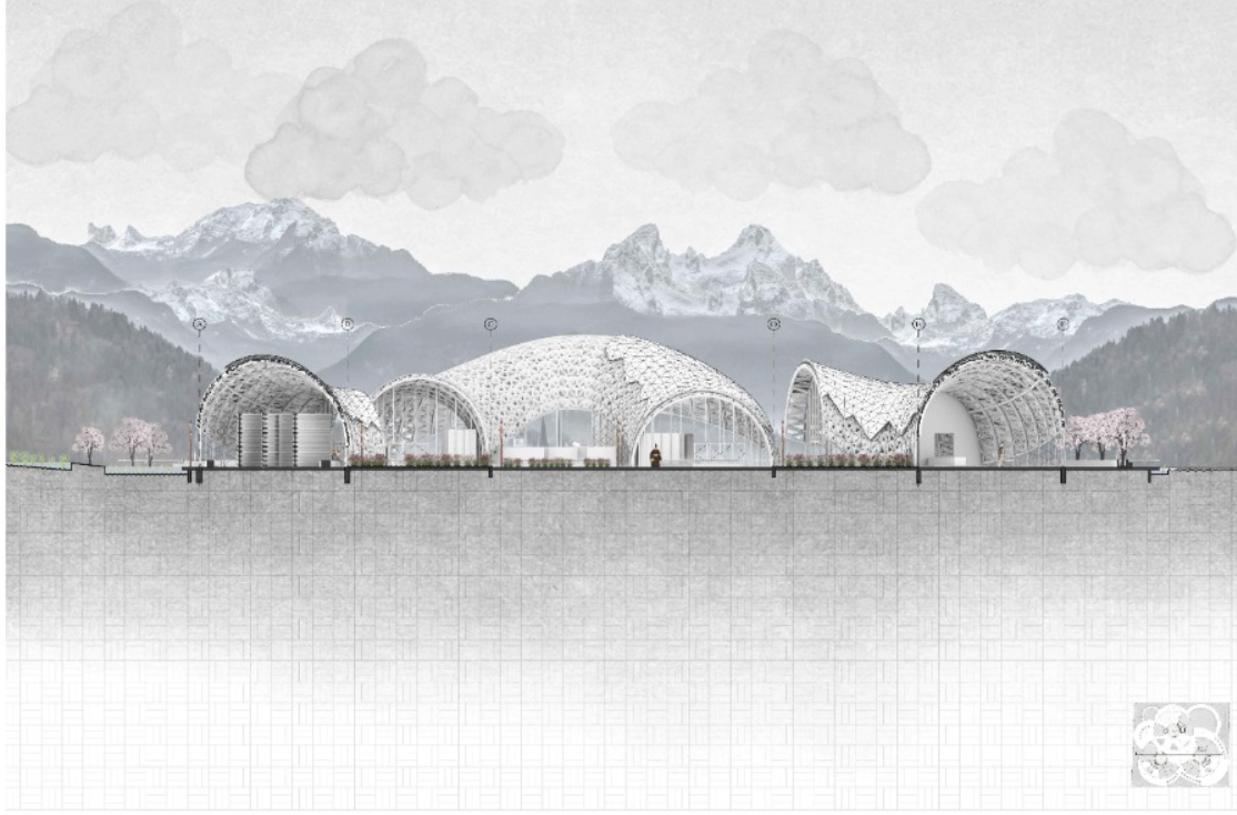 Tectonic Bloom: A Cultural Architecture Inspired by Sakura