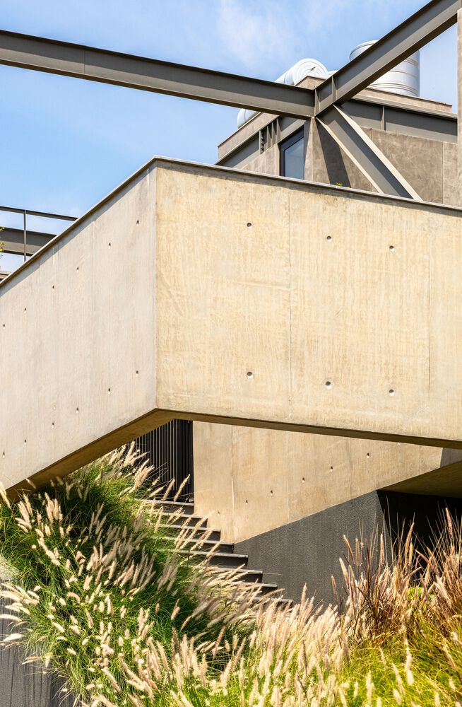 Board-formed concrete exterior wall with steel structure above flanked by ornamental grasses in afternoon light