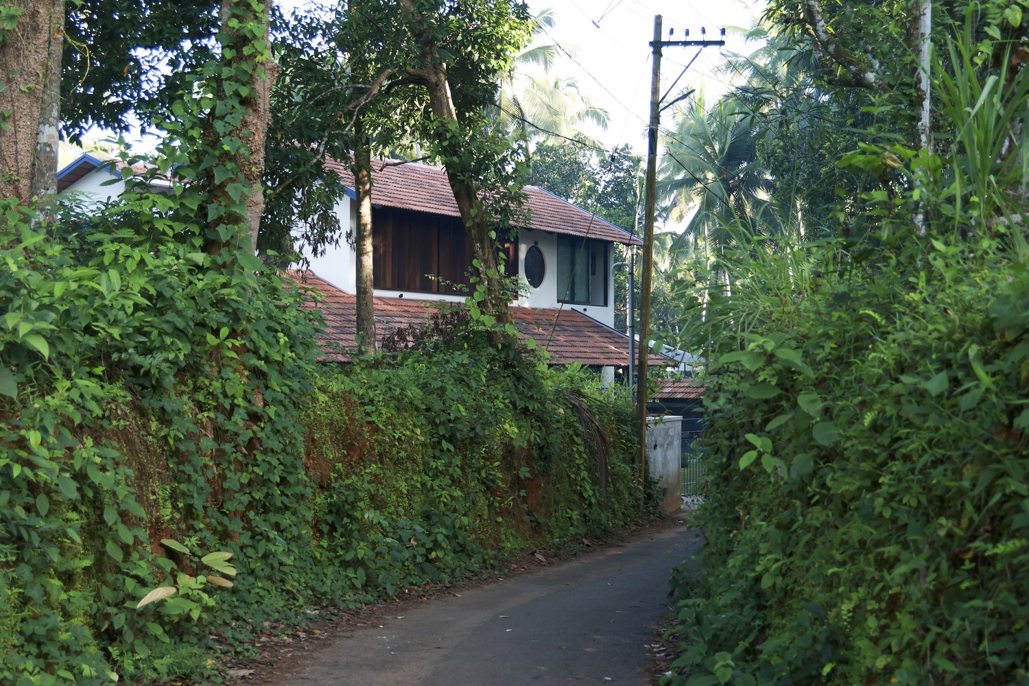 All photographs are works of Abhimanyu KV