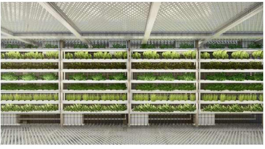 Multi-tiered soilless cultivation units designed for compact food production in dense city environments.