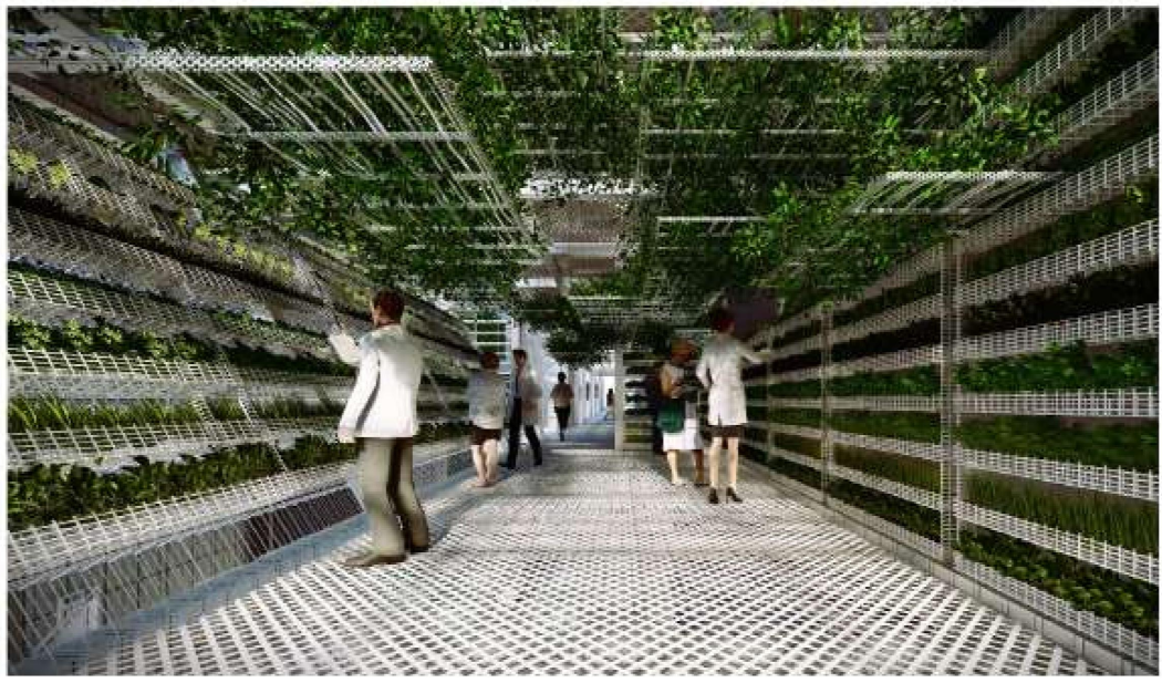 Community members engage with urban agriculture inside a light-filled, plant-lined passageway.