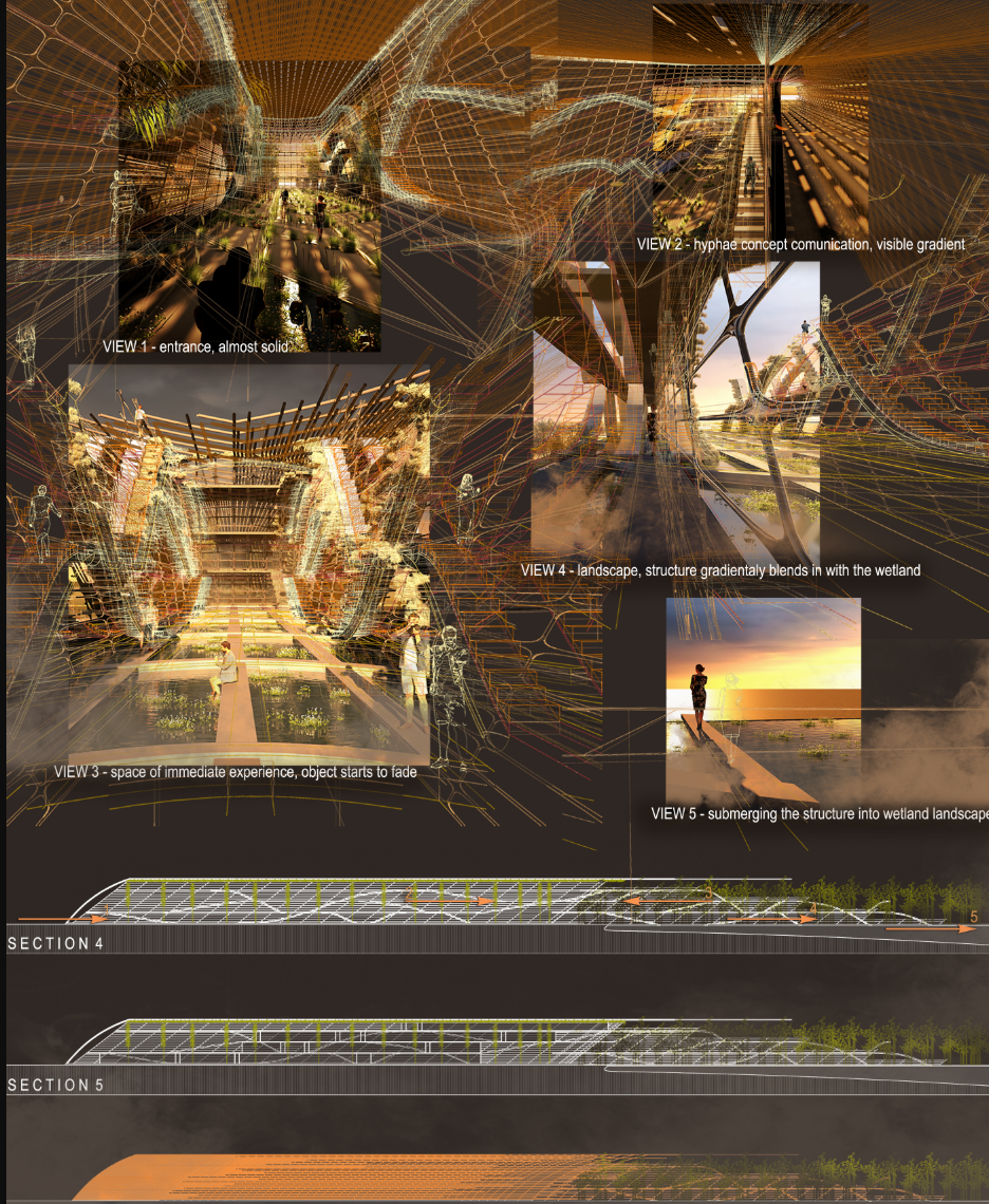 Gradual spatial transitions reflect mycelium’s organic growth—blending interior experience with ecological context.