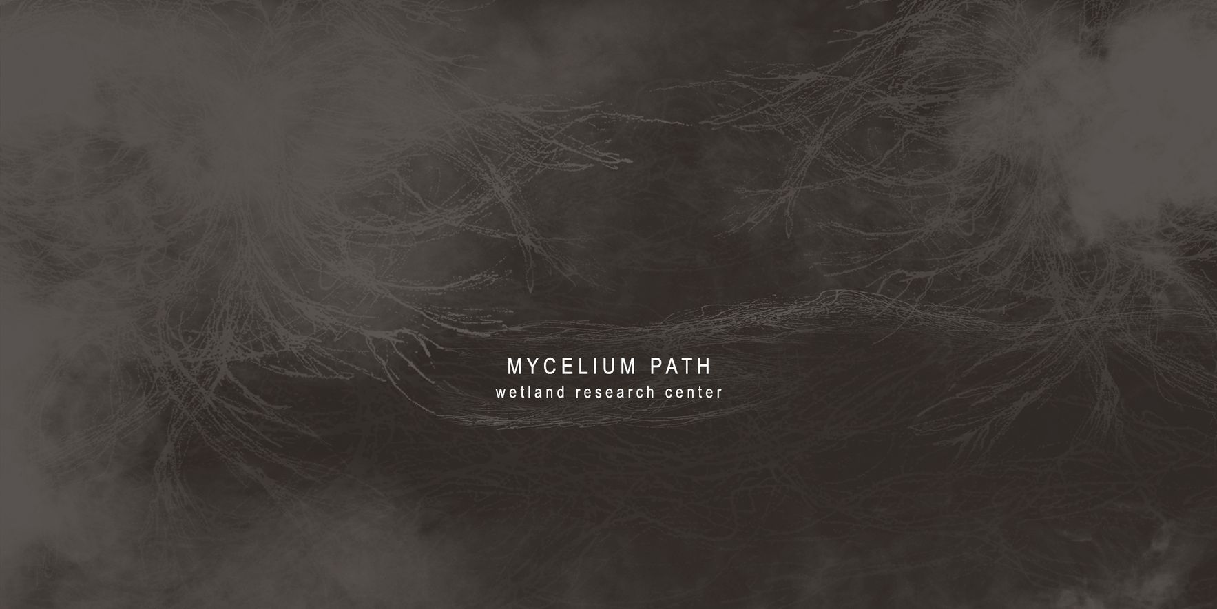 Mycelium Path Wetland Research Center — Shortlisted in WIC Competition by Ivona Mangovic