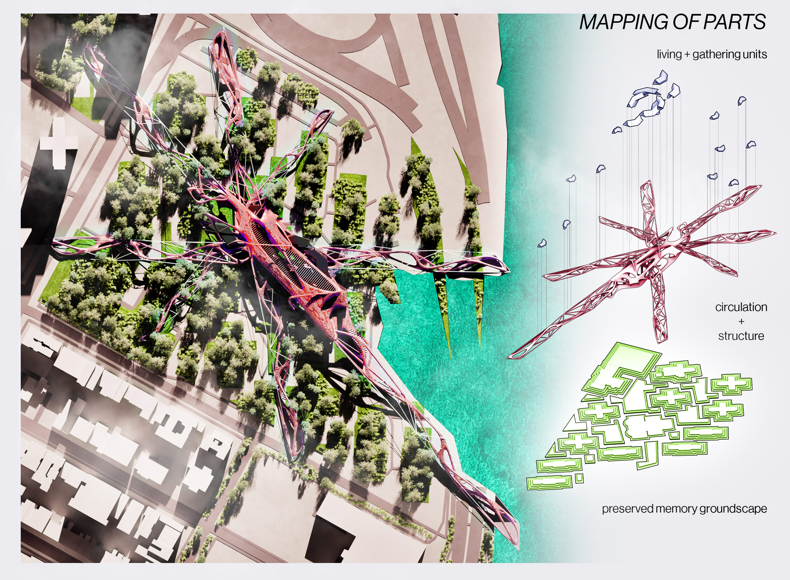 Exploded Growth Diagram