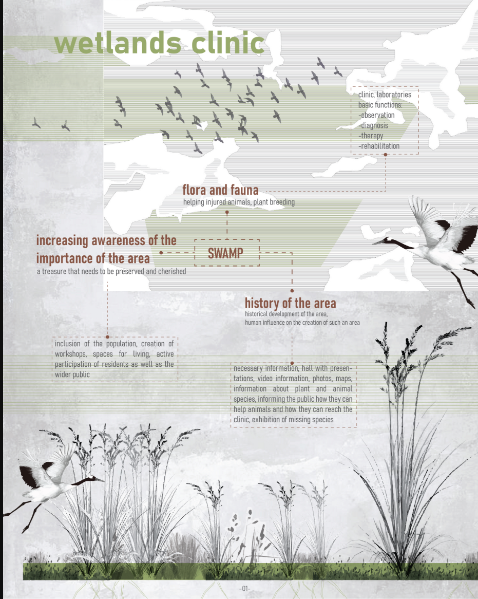 Presentation board showing wetlands clinic concept with illustrated swamp ecology and flying birds overhead