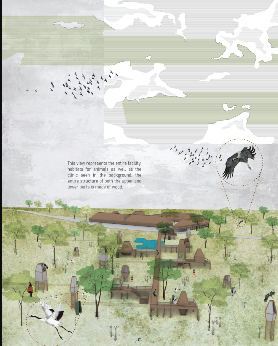 Axonometric drawing of the timber clinic complex nestled among trees with birds and wildlife circling above